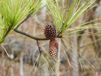 03-18-12-St Marys Lake-4149