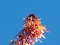 04-07-12-Mattawoman-4728