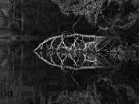 04-14-12-Rocky Gorge-5268