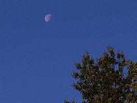 05-11-12-Mattaponi