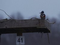 01-13-13-Rt 4-5244