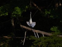 06-01-13-Rocky Gorge0475
