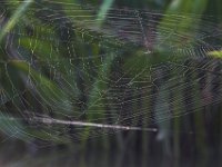 07-14-13-Nanjemoy-2407