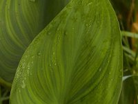 07-14-13-Nanjemoy-2581