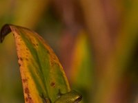 08-24-13-Nanjemoy-5214