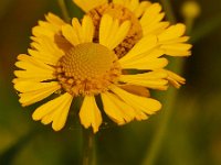 09-01-13-Mattawoman-6161
