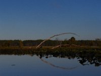 09-29-13-Mattawoman-8349