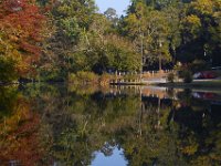 10-04-13-Tuckahoe-8822