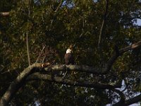 10-15-13-Mattawoman-0080