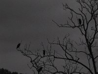 10-19-13-Piscataway-0451