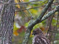 10-19-13-Piscataway-0478