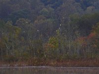10-19-13-Piscataway-0492