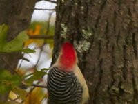 10-19-13-Piscataway-0576