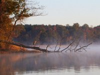 10-26-13-Nanjemoy-1053