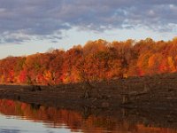 11-02-13-Rocky Gorge-1842