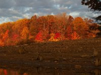 11-02-13-Rocky Gorge-1847