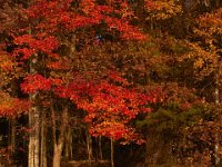 11-02-13-Rocky Gorge-1927