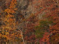 11-02-13-Rocky Gorge-2018