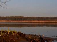 04-12-14-Mattawoman-2885