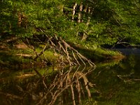 06-08-14-Rocky Gorge-West-5096