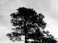 06-22-14-St Marys Lake-5895