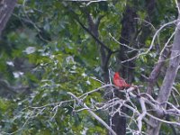 06-22-14-St Marys Lake-5922