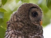 06-28-14-Piscataway-6158
