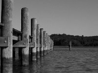 07-05-14-Nanjemoy-6950 (1)