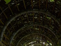 07-19-14-Nat Aboretum-8091