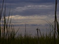 07-19-14-Wicomico Shores-7952