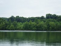 07-21-14-Tbone Triadelphia-0599