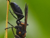 08-30-14-Rt 4-0266