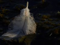 08-31-14-Mattawoman-0682