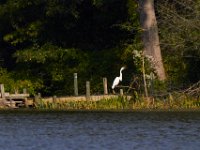 08-31-14-Mattawoman-0859
