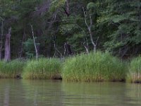 07-19-14-Wicomico Shores-7859