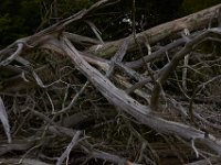 07-19-14-Wicomico Shores-7861