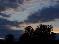 09-07-14-Piscataway-1381