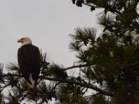 09-13-14-St Marys Lake-1845