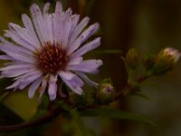 09-29-14-Selbys Landing-2966