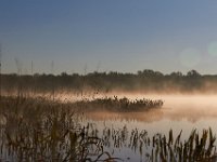 10-05-14-Mattawoman-3264