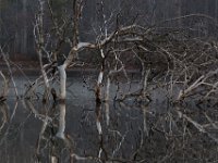 04-12-15-Rocky Gorge-20971