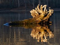 04-12-15-Rocky Gorge-21008
