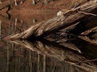 04-12-15-Rocky Gorge-21097