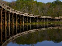 05-07-15-Mattaponi-Selbys-22909