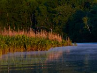 05-23-15-Nanjemoy-23257