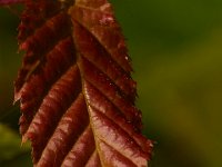 05-24-15-St Marys Lake-23796