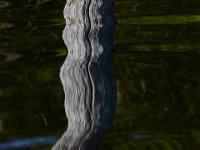 05-24-15-St Marys Lake-23800