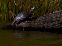 05-24-15-St Marys Lake-23861