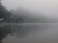 07-12-15-Shadding Reach