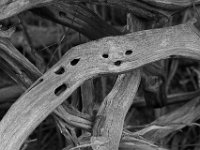 07-18-15-Nanjemoy-27598